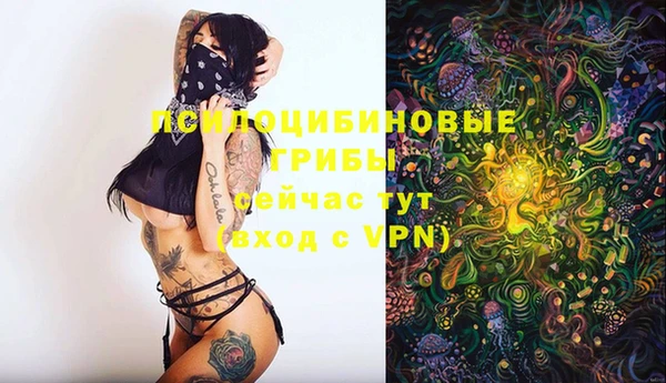 MDMA Premium VHQ Верхний Тагил