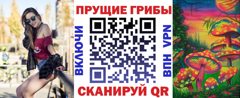 Псилоцибиновые грибы GOLDEN TEACHER  где продают   MEGA зеркало  Верхняя Тура 